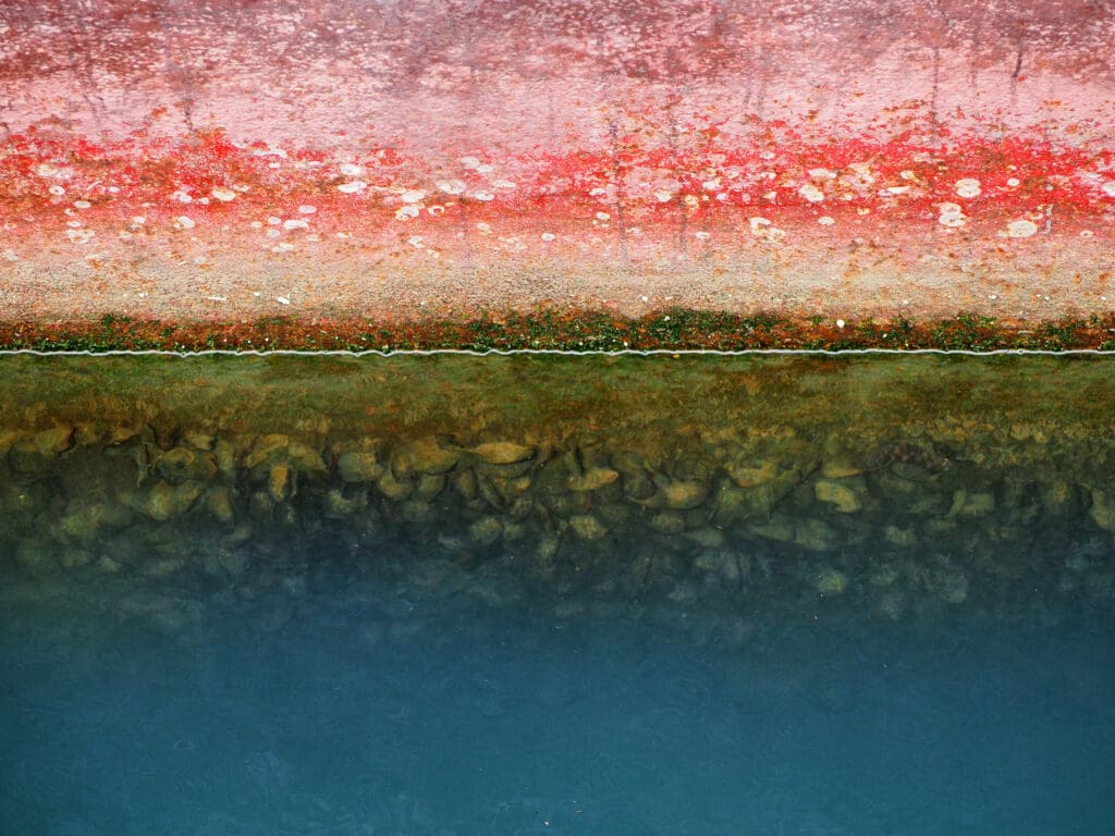 barnacle fouling